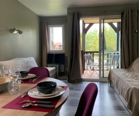 Douchka - Appartement Piscine Parking -